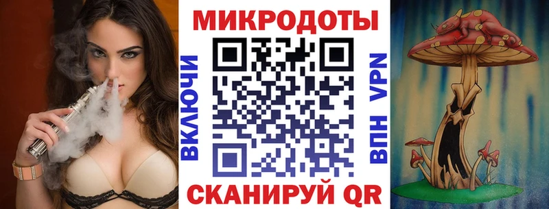 Купить закладки  Городище  Галлюциногенные грибы Cubensis 